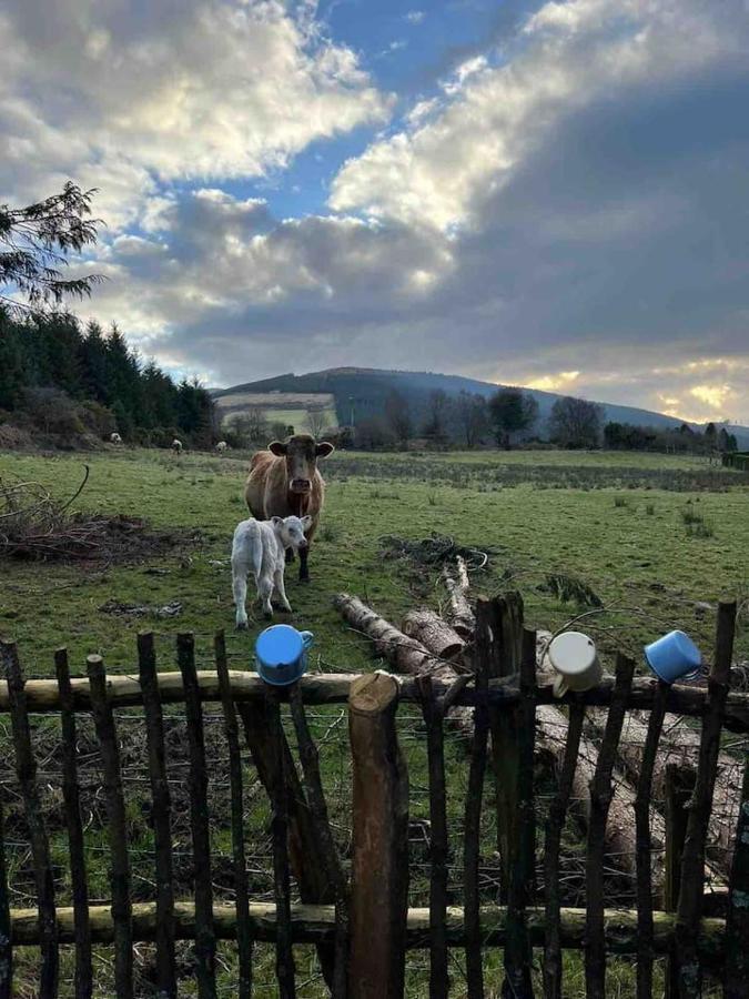 Aughavannagh Yurt Glamping Aughrim Exteriör bild
