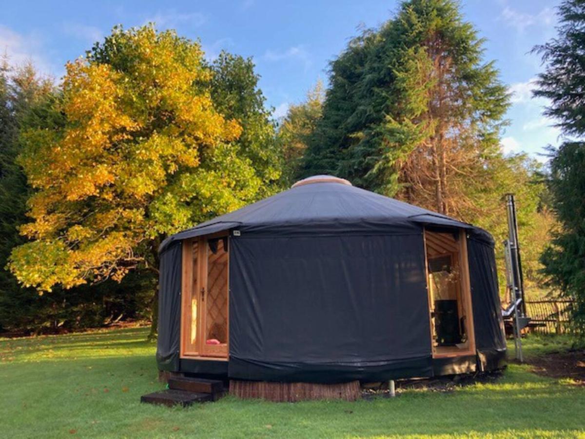 Aughavannagh Yurt Glamping Aughrim Exteriör bild