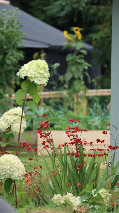 Aughavannagh Yurt Glamping Aughrim Exteriör bild