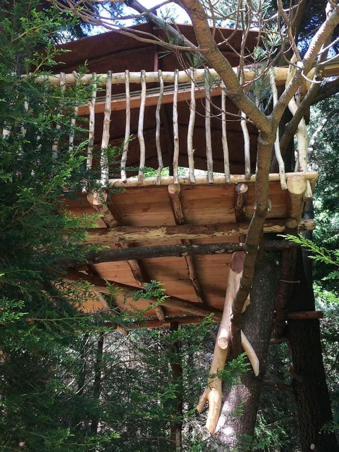 Aughavannagh Yurt Glamping Aughrim Exteriör bild