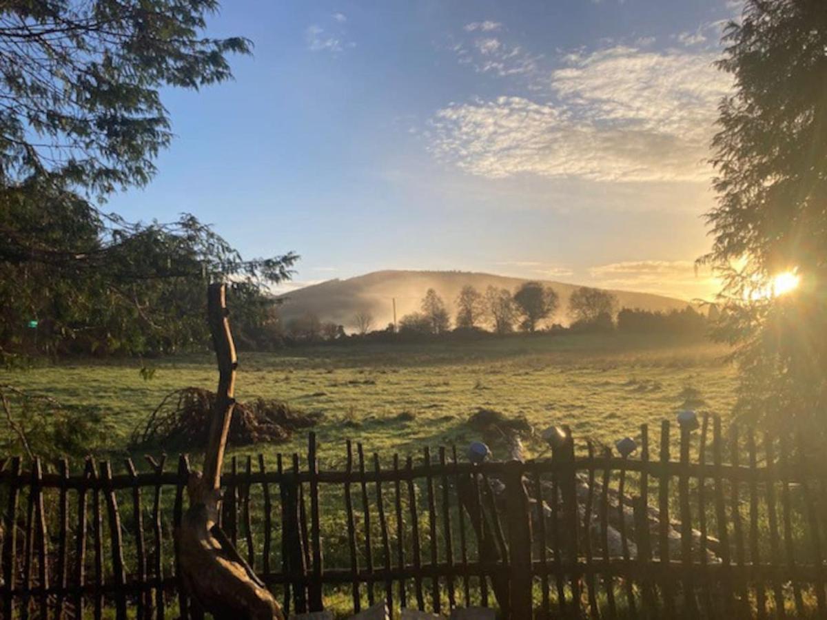 Aughavannagh Yurt Glamping Aughrim Exteriör bild