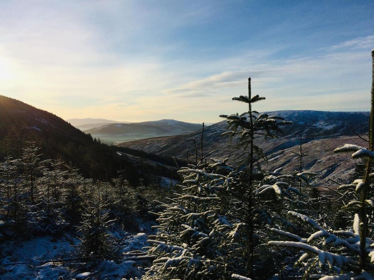 Aughavannagh Yurt Glamping Aughrim Exteriör bild